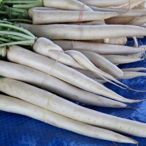 Organic Radish (Mooli)