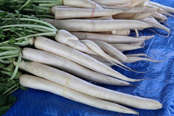 Organic Radish (Mooli)
