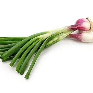 Organic Spring Onion