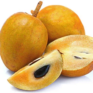 Organic Sapota (Chiku)