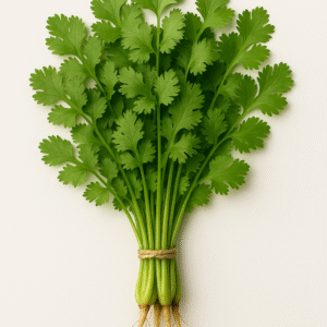 Organic Dhaniya (Coriander Leaves)